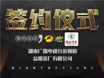湘益茯，美茗揚(yáng) 丨湘益茯茶與茶頻道達(dá)成長(zhǎng)期戰(zhàn)略合作